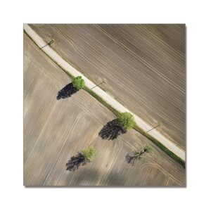 LANDSCAPE OIL PAINTING PRINTED PICTURE I OF III
