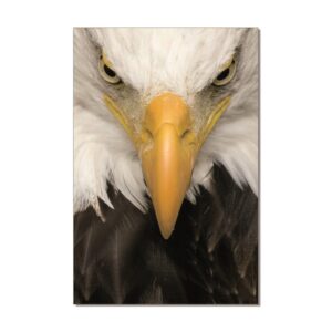 EAGLE PRINTED PICTURE
