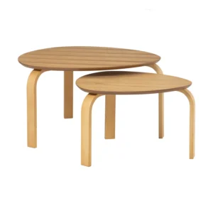 SANDRA SET OF 2 COFFEE TABLE 102