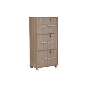 NAOMI 6 DOOR STORAGE BOX WITH LOCK EBONNESE