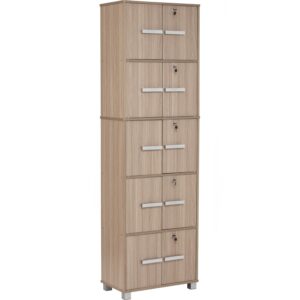NAOMI 10 DOOR STORAGE BOX WITH LOCK EBONNESE
